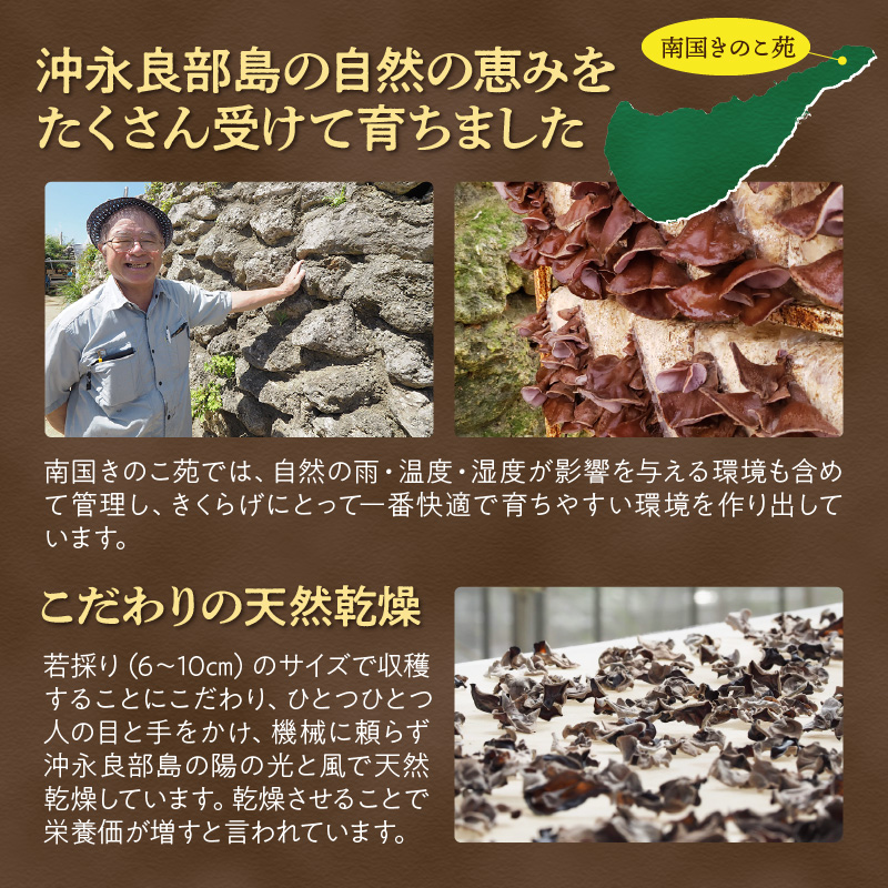 【普通郵便】【レターパックプラス】乾燥きくらげ100ｇ/沖永良部島特産