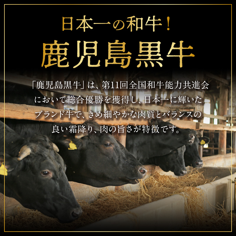 鹿児島黒牛食べ比べ（リブロース・モモ）セット 600g