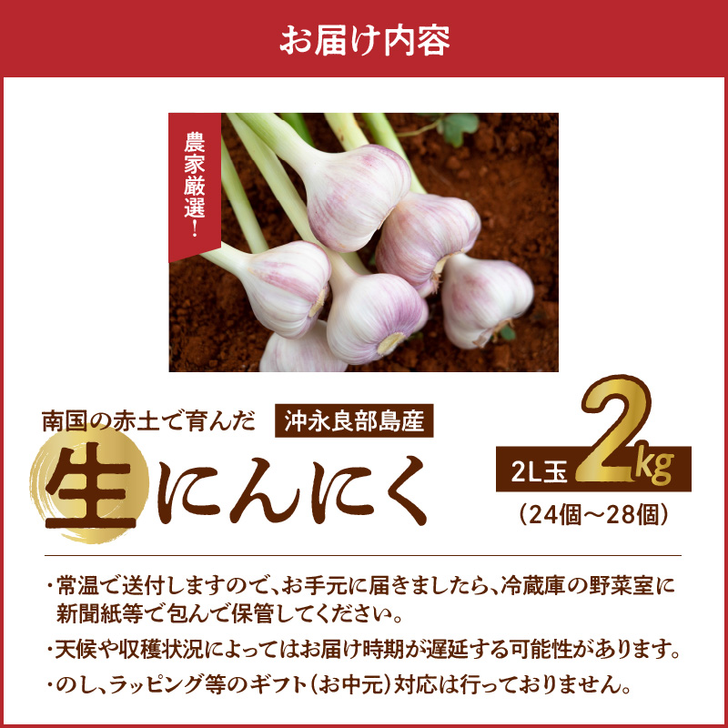 【2026年先行予約】農家厳選！南国の赤土で育んだ 沖永良部島産 生にんにく 2L玉 2kg【3月下旬～4月下旬】　W041-002u
