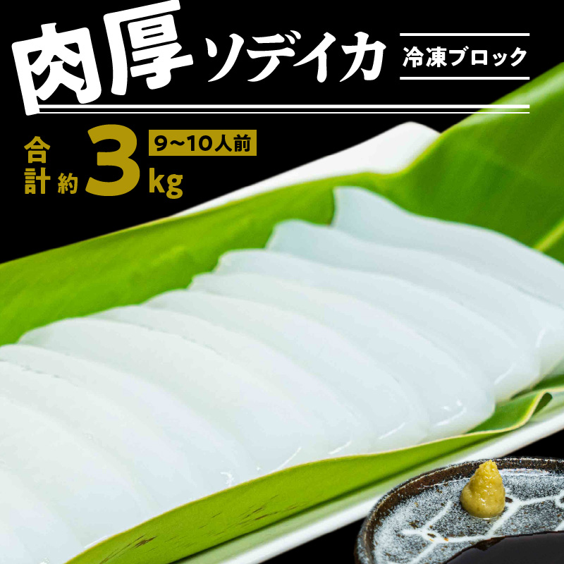 冷凍保存ＯＫ！エメラルドブルーの美しい海で育ったおいしいソデイカ冷凍ブロック約3キロ（9～10人前）！