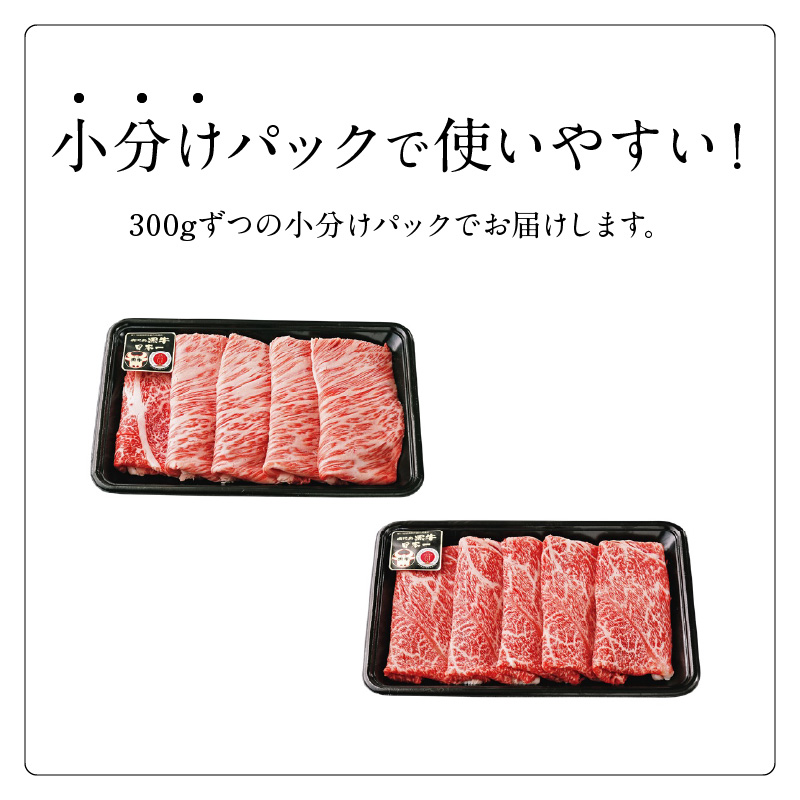 鹿児島黒牛スライス（肩ロース・ウデ）セット（D-101）　W032-006u