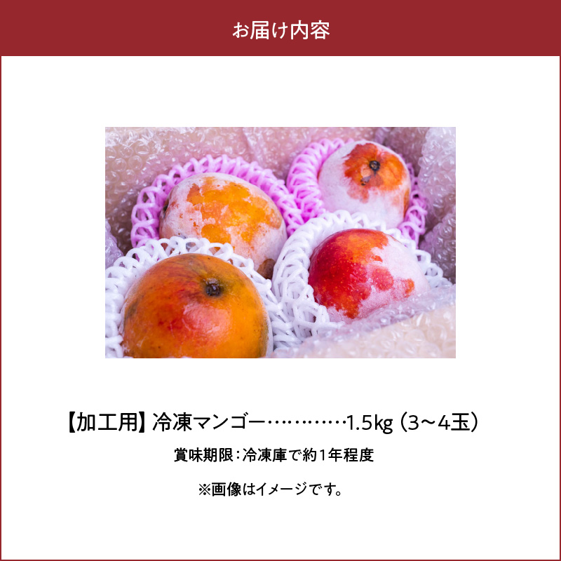「訳あり」加工用冷凍マンゴー1.5キロ（３～４玉）/沖永良部島産