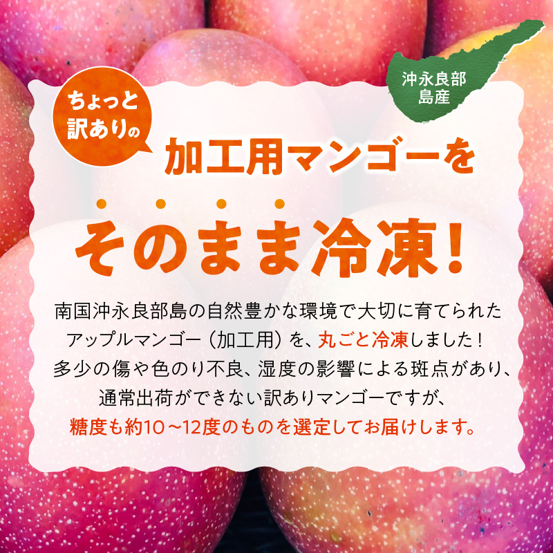 「訳あり」加工用冷凍マンゴー１キロ（２～３玉）/沖永良部島産