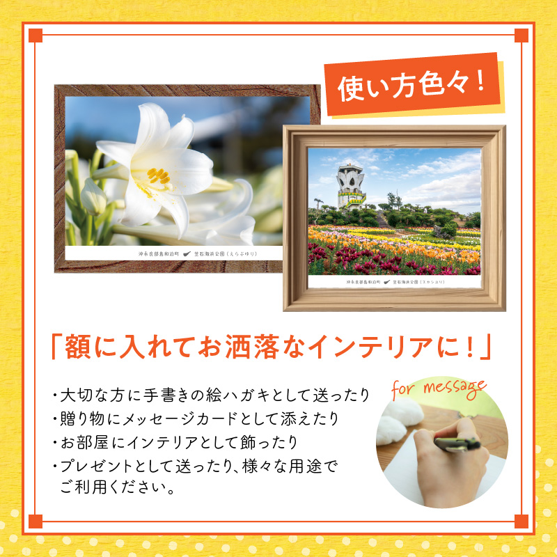 花と癒しの島！沖永良部島オリジナルポストカード（花編）