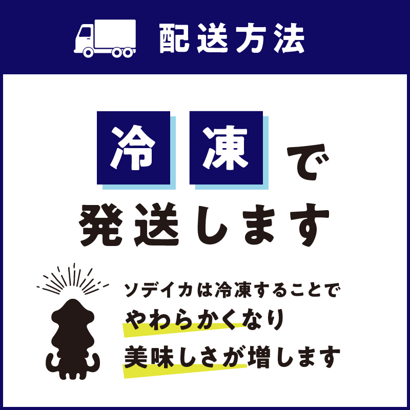 冷凍保存ＯＫ！エメラルドブルーの美しい海で育ったおいしいソデイカ冷凍ブロック約500グラム（１～２人前）！