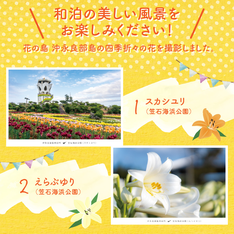 花と癒しの島！沖永良部島オリジナルポストカード（花編）