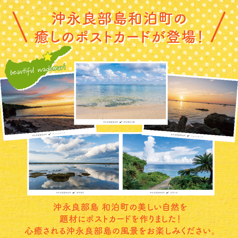 花と癒しの島！沖永良部島オリジナルポストカード（花編）