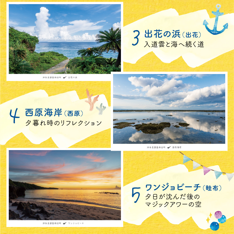 花と癒しの島！沖永良部島オリジナルポストカード（風景編）