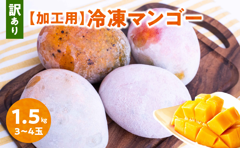 【2025年先行予約】「訳あり」加工用冷凍マンゴー1.5kg（3〜4玉）/沖永良部島産　W009-079u