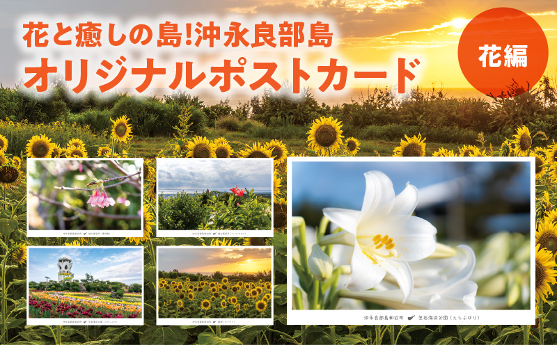 花と癒しの島！沖永良部島オリジナルポストカード（花編）