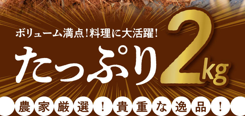 【2025年先行予約】農家厳選！南国の赤土で育んだ 沖永良部島産 生にんにく 2L玉 2kg【3月下旬〜4月下旬】　W041-002u