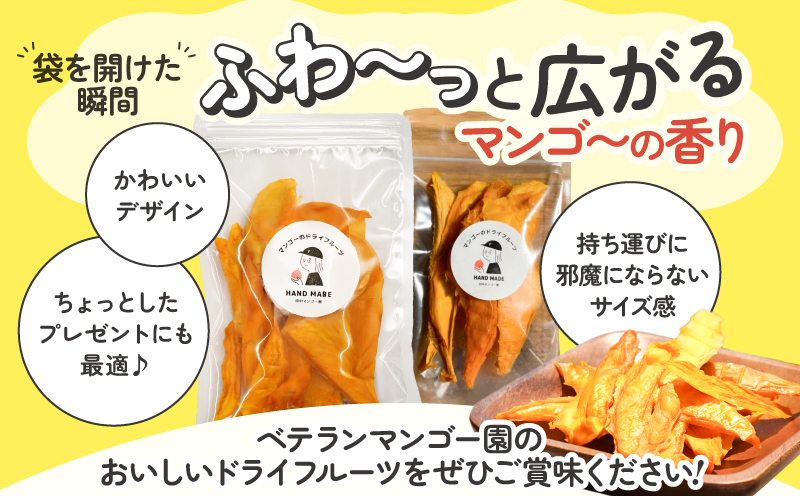 【先行受付】田中マンゴー園が作ったマンゴーのドライフルーツ 40g×5袋　W001-013-04