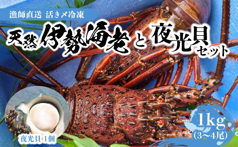 【漁師直送】活き〆冷凍　天然伊勢海老1kg（3～4尾）と夜光貝（1個）のセット