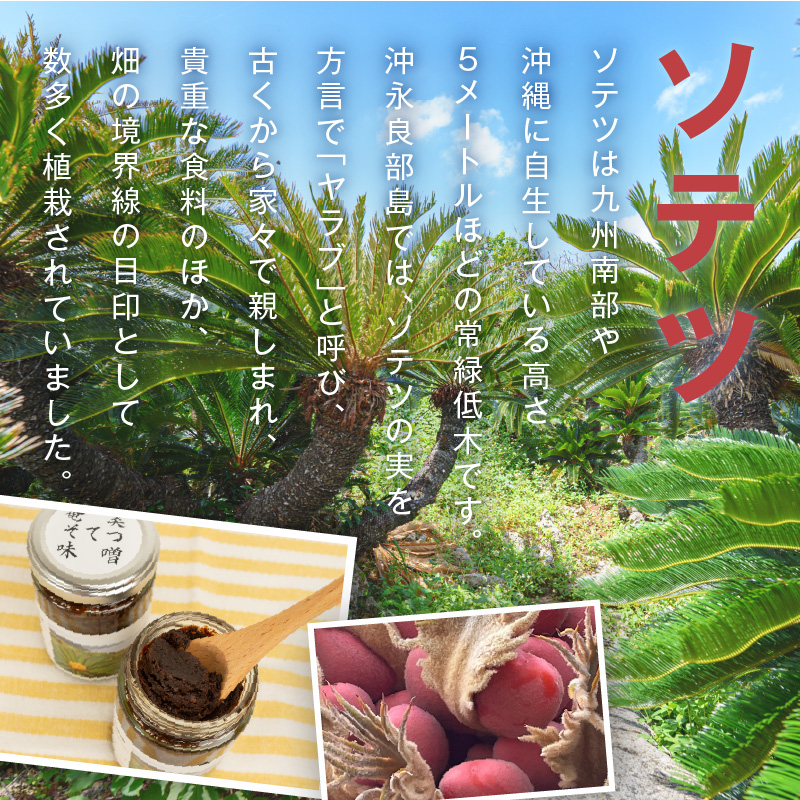 沖永良部島の伝統的な発酵調味料「奄美そてつ味噌130ｇ」３個セット