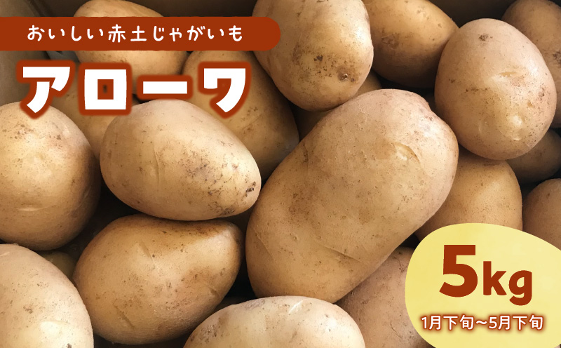 【2025年先行予約】沖永良部島産 おいしい赤土じゃがいも アローワ 5kg【1月下旬〜5月下旬】　W009-070u-02