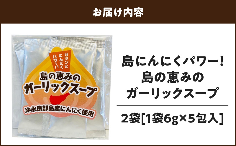 島ニンニクパワー！ 島の恵みのガーリックスープ×2袋　W011-096u-02