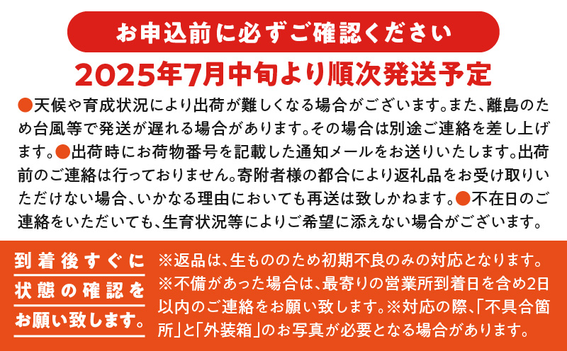 【2025年先行予約】訳あり 田中マンゴー園 完熟アップルマンゴー約2kg（4〜8玉）（ご家庭用）　W001-008u