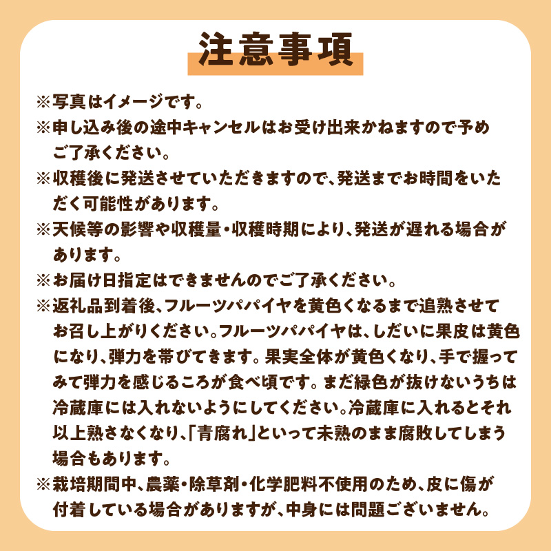 【先行受付】沖永良部島の甘くて美味しいフルーツパパイヤ1㎏（３～４玉）