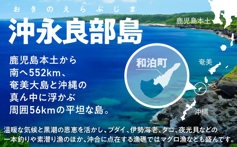 素潜り漁師マサル監修「マグロのジャーキー こくまろ味」30g×7袋　W062-012-04