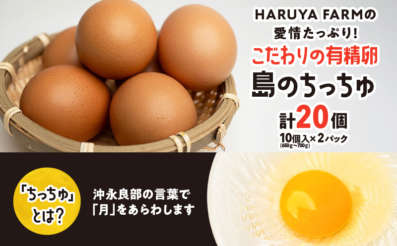 【贈答用】HARUYA FARMの有精卵「島のちっちゅ」　W065-001-01