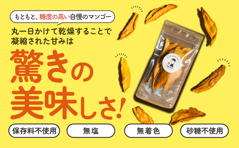 【先行受付】田中マンゴー園が作ったマンゴーのドライフルーツ 40g×3袋　W001-013-03