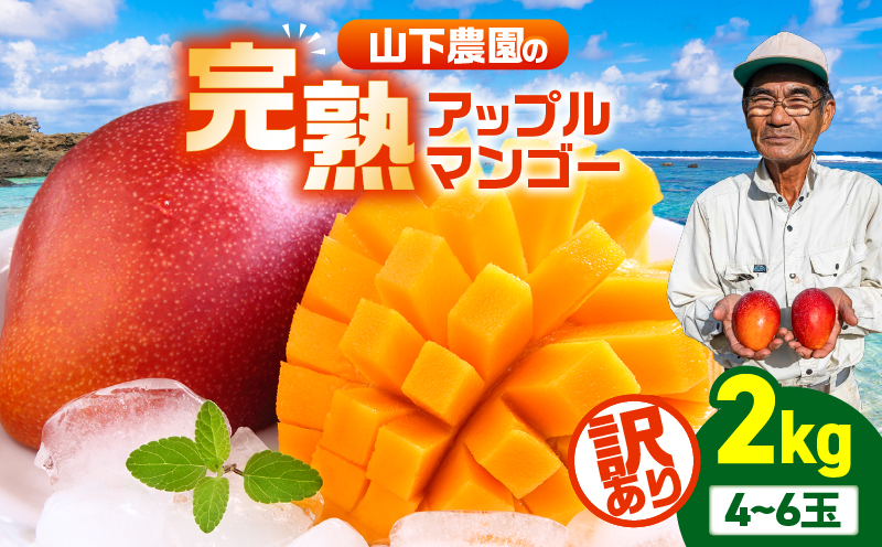【2026年先行予約】【訳あり】甘い香りの贈り物！山下農園の完熟アップルマンゴー 2kg（4〜6玉）　W063-004-02