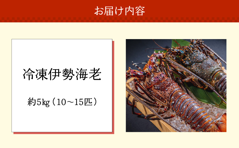 沖永良部島直送！素潜り漁師オススメの冷凍伊勢海老 約5kg（10〜15匹）！　W030-005u