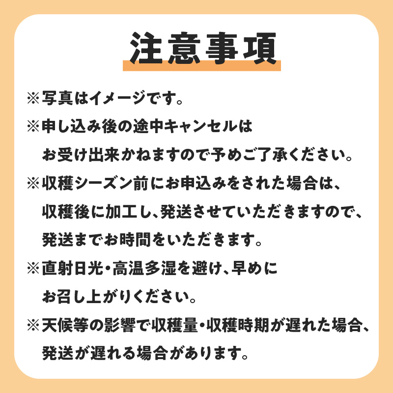 【先行受付】沖永良部島の甘くて美味しい無添加ドライフルーツ（パパイヤ）30ｇ×２袋