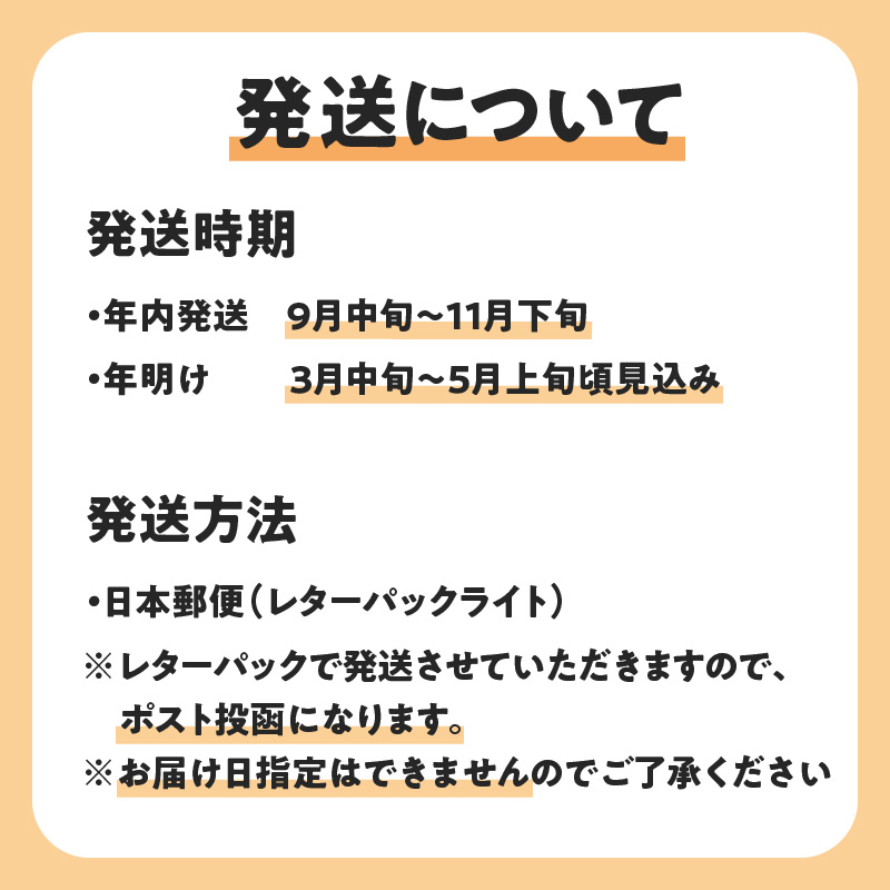 【先行受付】沖永良部島の甘くて美味しい無添加ドライフルーツ（パパイヤ）30ｇ×２袋