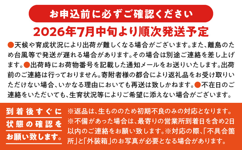 【2026年先行予約】甘い香りの贈り物！山下農園の完熟アップルマンゴー 2kg（4〜6玉）　W063-003-02