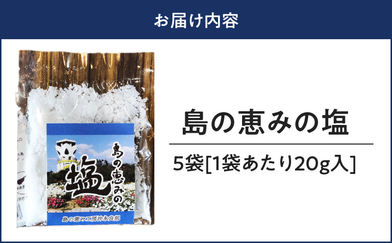 島の恵みの塩 5袋　W011-003u-04