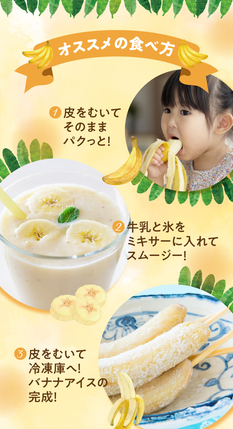 ■ 栽培期間中 農薬・除草剤・化学肥料不使用！バニラ風味の甘い島バナナ 1.5kg【2026年4月上旬～2026年11月下旬お届け】　W043-006u