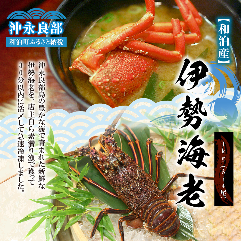 【漁師直送】活き〆冷凍 天然伊勢海老 1kg（3〜4尾）　W005-001u