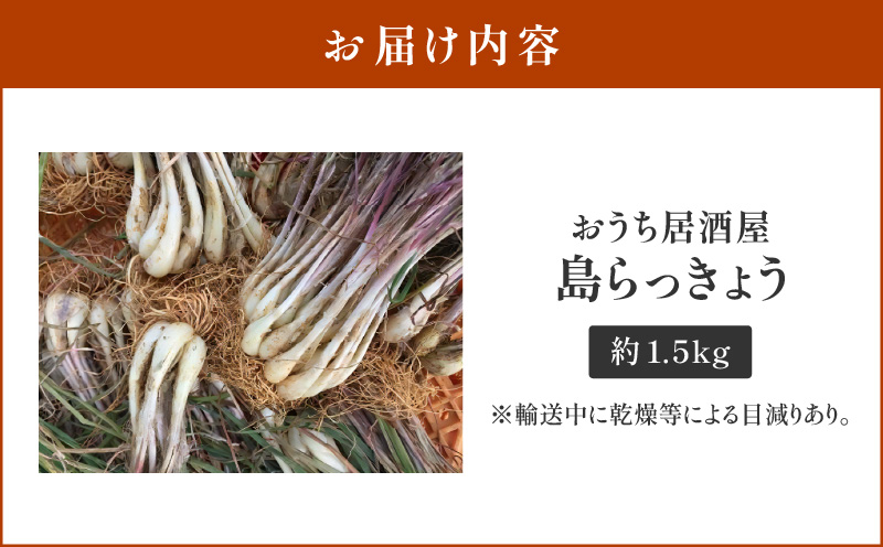 【2025年先行予約】おうち居酒屋。島らっきょう 約1.5kg/沖永良部島産【4月初旬〜7月下旬】　W009-030u-02