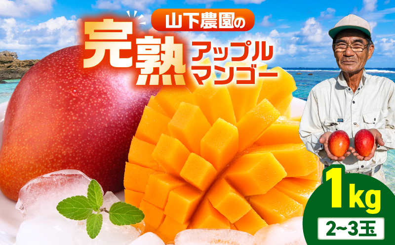 【2026年先行予約】甘い香りの贈り物！山下農園の完熟アップルマンゴー 1kg（2〜3玉）　W063-003-01