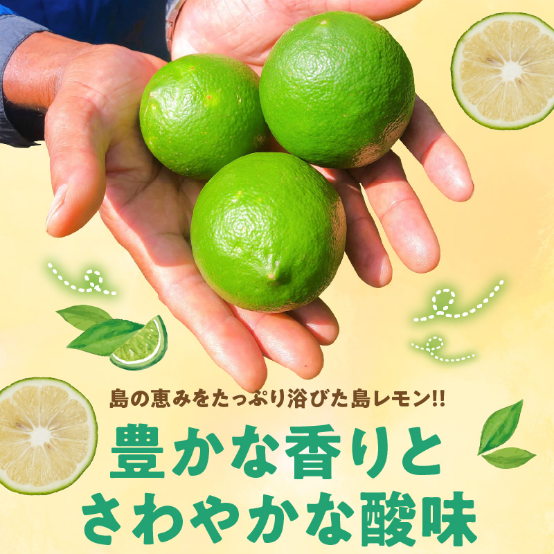 ■【先行受付】栽培期間中 農薬・除草剤・化学肥料不使用！南国の島レモン 3kg！【2026年9月～2027年2月下旬お届け】　W043-004u