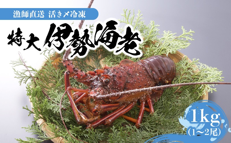 【漁師直送】活き〆冷凍 特大伊勢海老 1kg（1〜2尾）　W005-003