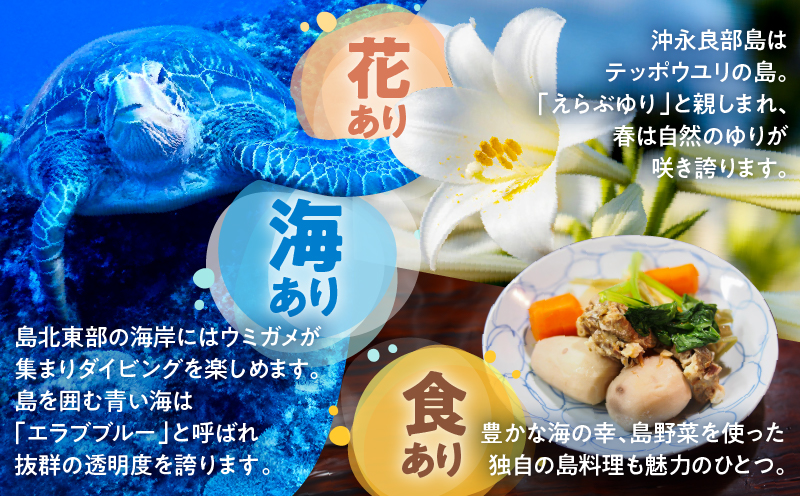 素潜り漁師マサル監修「マグロのジャーキー こくまろ味」30g×5袋　W062-012-03