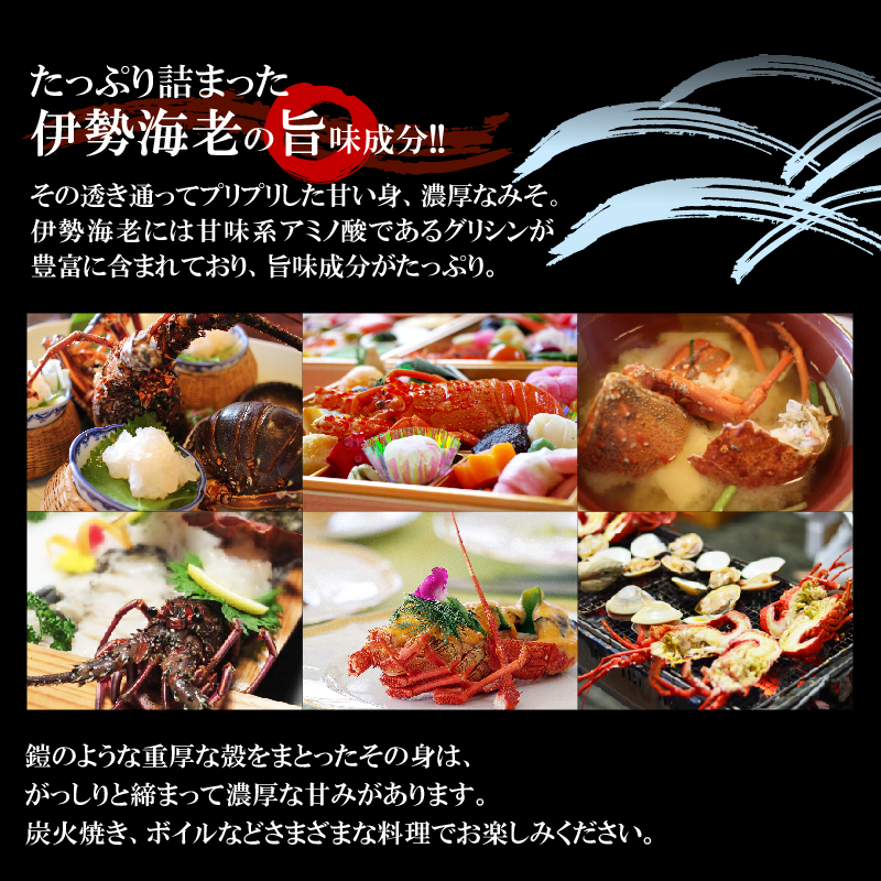 【漁師直送】活き〆冷凍 天然伊勢海老 300g（1尾）　W005-004u
