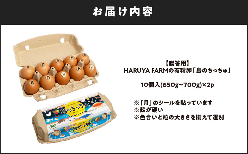 【贈答用】HARUYA FARMの有精卵「島のちっちゅ」　W065-001-01