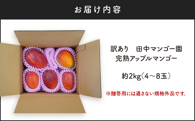 【2025年先行予約】訳あり 田中マンゴー園 完熟アップルマンゴー約2kg（4〜8玉）（ご家庭用）　W001-008u