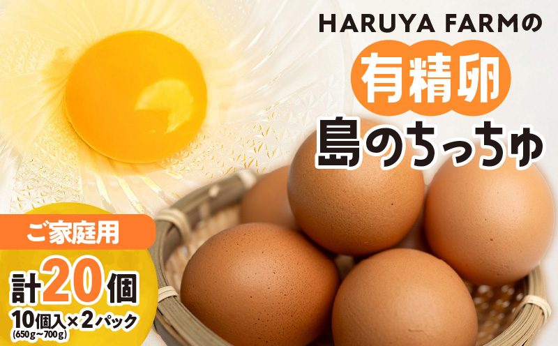 【ご家庭用】HARUYA FARMの有精卵「島のちっちゅ」　W065-001-02