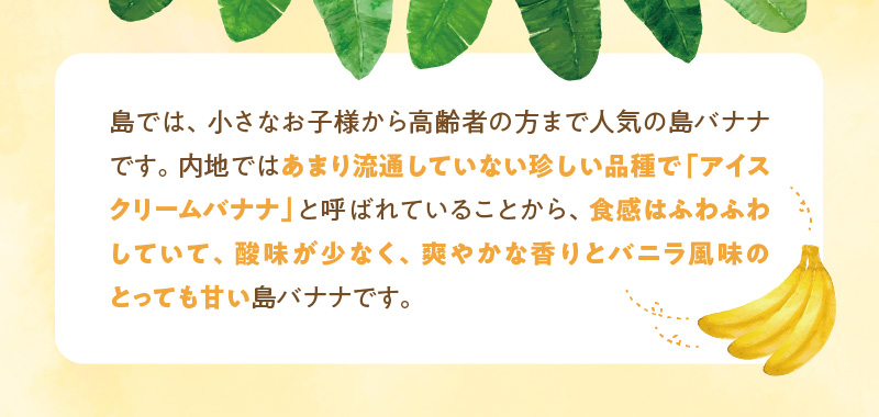■ 栽培期間中 農薬・除草剤・化学肥料不使用！バニラ風味の甘い島バナナ 1.5kg【2026年4月上旬～2026年11月下旬お届け】　W043-006u