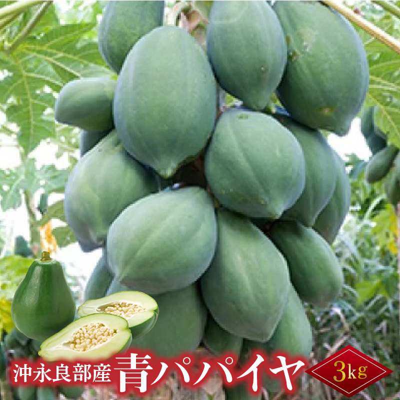 酵素たっぷり「青パパイヤ」3kg　W009-065