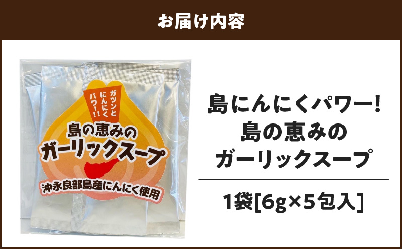 島ニンニクパワー！島の恵みのガーリックスープ×1袋　W011-096u