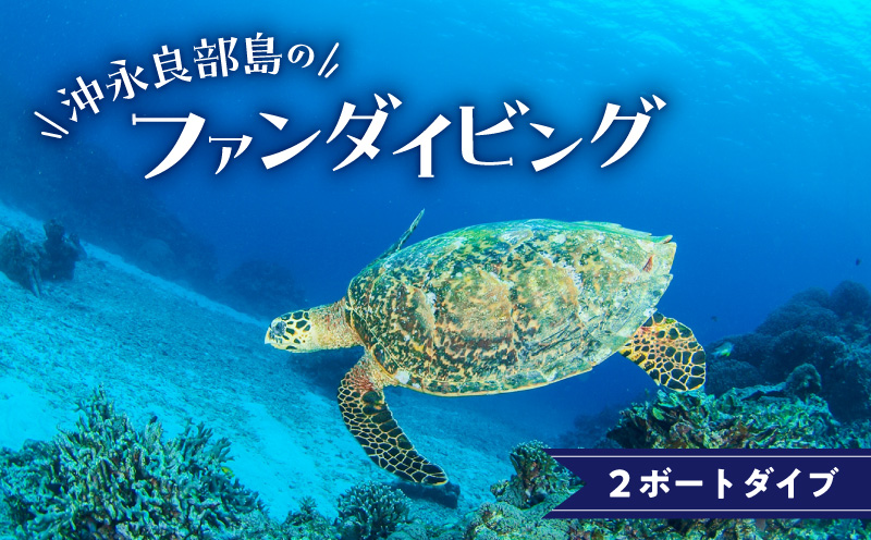 沖永良部島のファンダイビング　2ボートダイブ