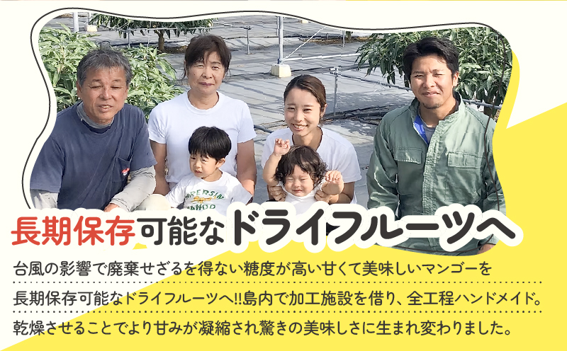 【先行受付】田中マンゴー園が作ったマンゴーのドライフルーツ 40g×5袋　W001-013-04