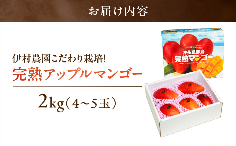 【2025年先行予約】伊村農園こだわり栽培！完熟アップルマンゴー2kg（4～5玉）　W026-002u