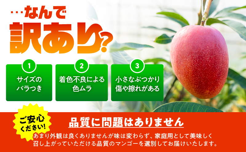 ã2026幎å
è¡äºçŽããèš³ãããçãéŠãã®èŽãç©ïŒå±±äžèŸ²åã®å®çã¢ããã«ãã³ãŽãŒ 1kgïŒ2ã3çïŒãW063-004-01