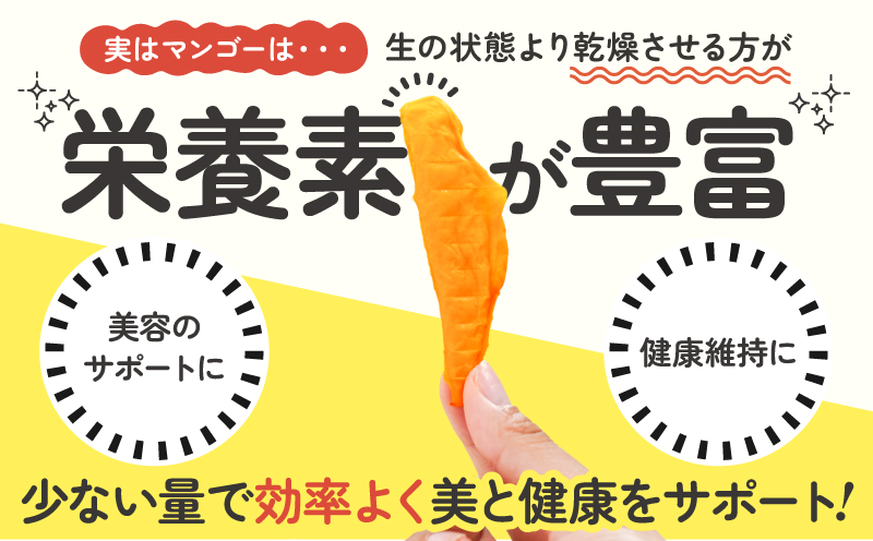 【先行受付】田中マンゴー園が作ったマンゴーのドライフルーツ 40g×5袋　W001-013-04